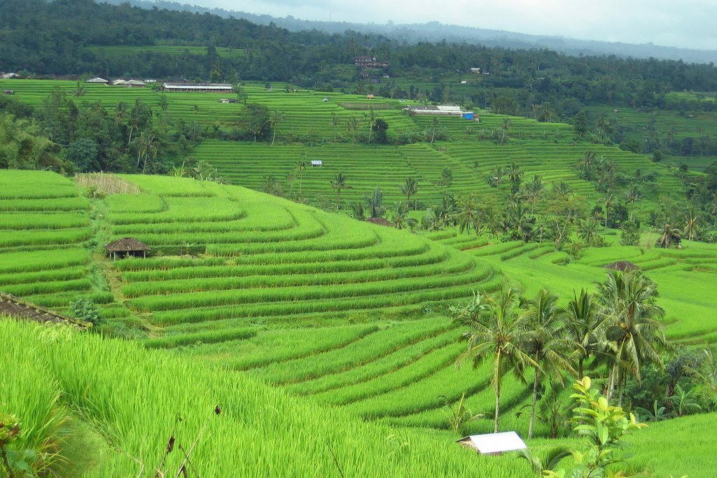 Lanskap Budaya Subak Bali