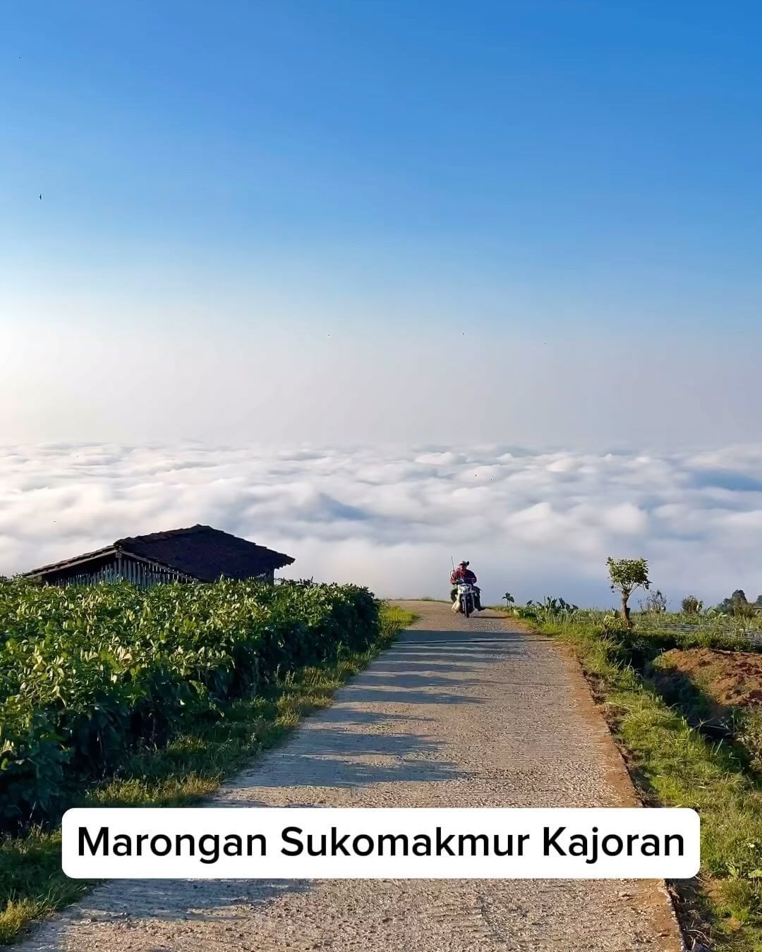 Marongan Sukomakmur Kajoran