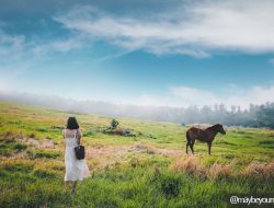 Pulau Jeju, Destinasi Wisata Alam Terbaik di Korea Selatan